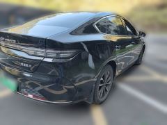 BYD Destroyer 05 DM-i Champion Edition 1.5L 55km Luxury Edition - photo 4