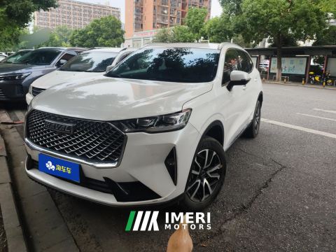 2024 Haval H6 1.5T Two-Wheel Drive Classic Edition - car from China
