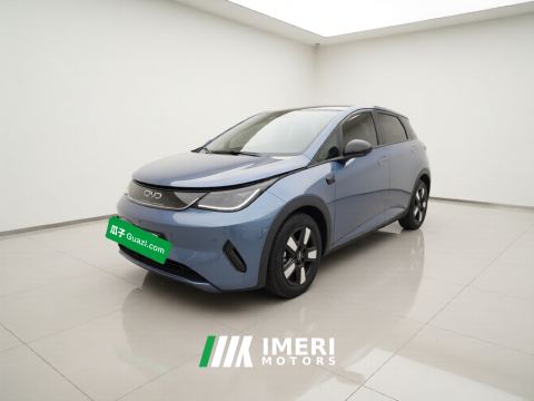 2025 BYD Dolphin Smart Driving Edition 410km Stylish Edition - ავტომობილი ჩინეთიდან