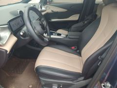 BYD Dolphin Smart Driving Edition 410km Stylish Edition - photo 11