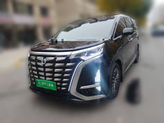 Denza D9 DM-i 1.5T 180km AWD Version 7 - photo 1