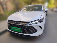 BYD Qin PLUS DM-i Smart Driving Edition 1.5L 55km Leading Edition - фото 2