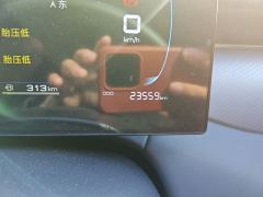 BYD Qin PLUS DM-i Smart Driving Edition 1.5L 55km Leading Edition - фото 8