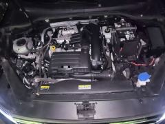 Volkswagen Magotan 2 Million Edition 280TSI Comfort Edition - photo 16
