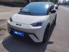 BYD Seagull Honor Edition 305km Vitality Edition - ფოტო 1