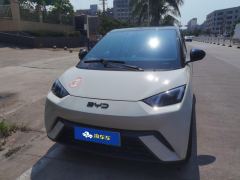 BYD Seagull Honor Edition 305km Vitality Edition - ფოტო 3