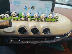 Wuling Bingo 333km Enjoy Edition - ფოტო 9