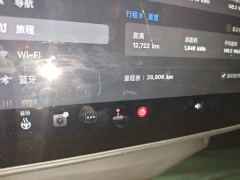 Tesla Model Y 554km Rear-Wheel Drive Edition - photo 8