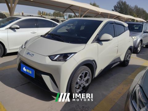 2025 BYD Seagull 305km Free Version - ავტომობილი ჩინეთიდან