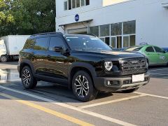 Great Wall Dachshund 1.5T DCT Border Collie Edition - ფოტო 3