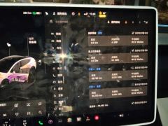 Tesla Model 3 606km Rear-Wheel Drive Edition - photo 14