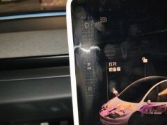 Tesla Model 3 606km Rear-Wheel Drive Edition - photo 15