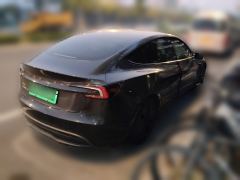 Tesla Model 3 606km Rear-Wheel Drive Edition - photo 6