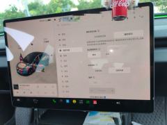Tesla Model 3 606km Rear-Wheel Drive Edition - ფოტო 20