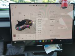 Tesla Model 3 606km Rear-Wheel Drive Edition - ფოტო 9