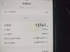 BYD Song L DM-i Smart Driving Edition 1.5L 112km Elite Edition - photo 13