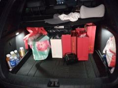 BYD Song L DM-i Smart Driving Edition 1.5L 112km Elite Edition - photo 20