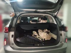 Haval H6 1.5T Two-Wheel Drive Classic Edition - photo 20