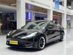 Tesla Model 3 556km Rear-Wheel Drive Edition - ფოტო 1