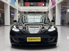 Tesla Model 3 556km Rear-Wheel Drive Edition - ფოტო 2