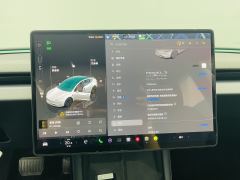 Tesla Model 3 713km Long Range AWD - ფოტო 13