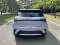 BYD Dolphin Honor Edition 420km Stylish Edition - photo 17