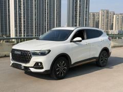 Haval H6 Edition 1.5T 2WD Edition - ფოტო 1