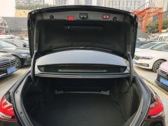 Mercedes-Benz E-Class Facelift E 300 L Luxury - photo 20
