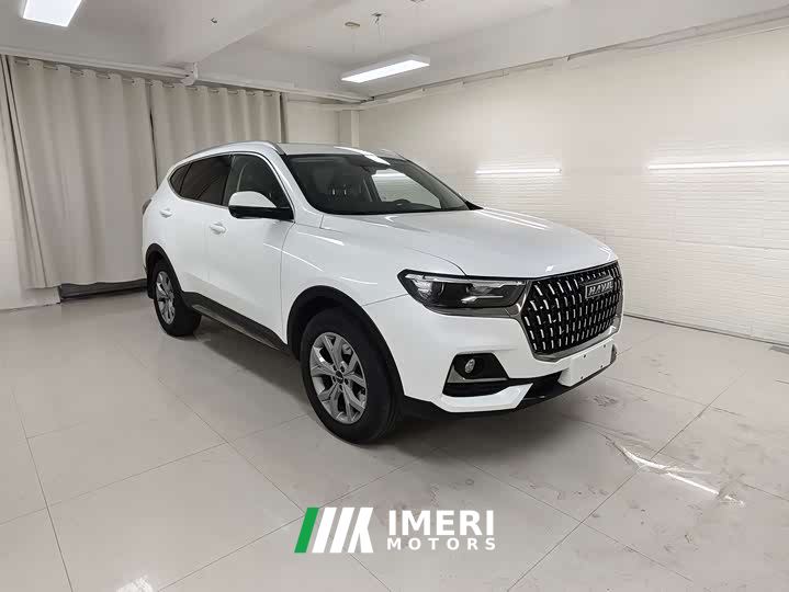 Haval H6 1.5T Automatic Champion Edition - car from China