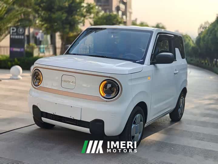 BMW Panda mini 200km endurance bear