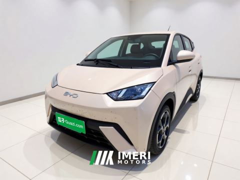 2025 BYD Seagull 305km Free Version - ავტომობილი ჩინეთიდან