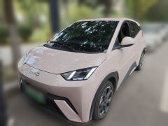 BYD Seagull Edition 405km Edition - ფოტო 1