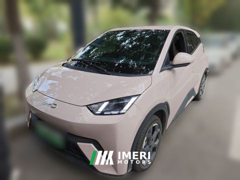 2024 BYD Seagull Edition 405km Edition - ავტომობილი ჩინეთიდან