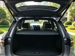 BYD Song Pro New Energy DM-i 110km Flagship Pro - ფოტო 9