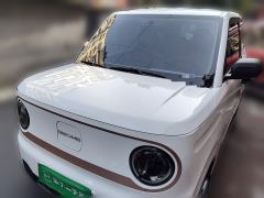 Geely Panda mini 200km - ფოტო 1