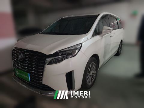 2023 Buick GL8 ES Luxury Edition 2.0T Comfort Edition 7-seater - car from China
