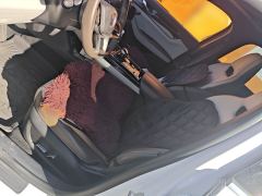 BYD Qin PLUS EV Honor Edition 420km Elite Edition - photo 11