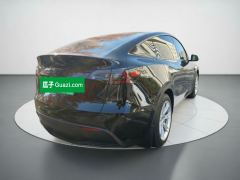 Tesla Model Y Facelift 545km Rear-Wheel Drive Edition - ფოტო 4