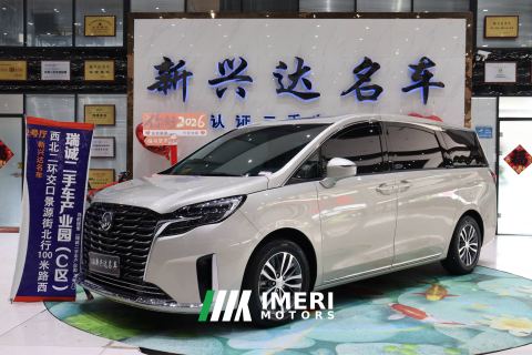 2023 Buick GL8 ES Luxury Edition 2.0T Comfort Edition 7-seater - car from China