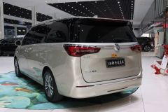 Buick GL8 ES Luxury Edition 2.0T Comfort Edition 7-seater - photo 4