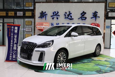 2022 Buick GL8 Land Business Class 652T Comfort Edition 7-seater - car from China