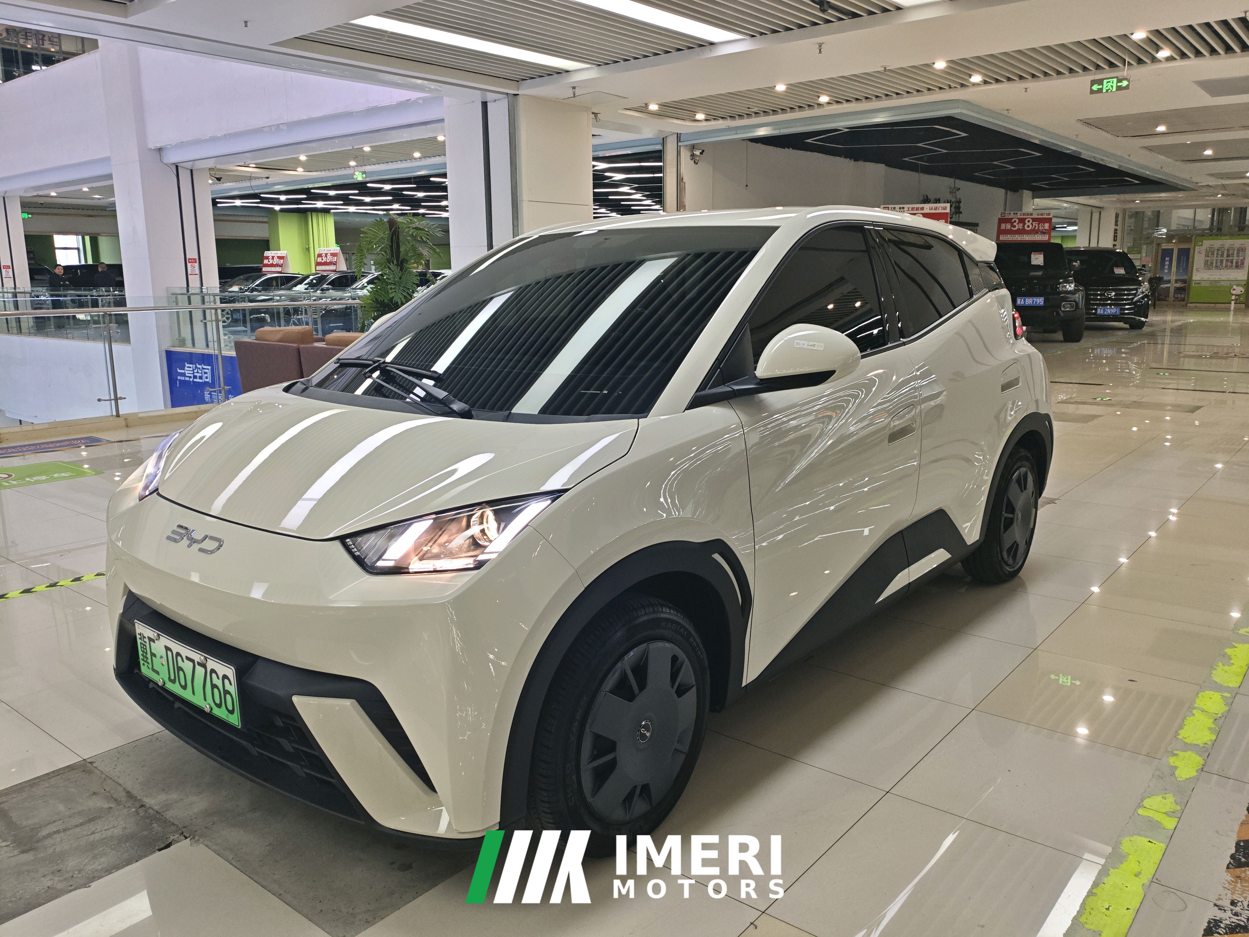 BYD Seagull Honor Edition 305km Vitality Edition
