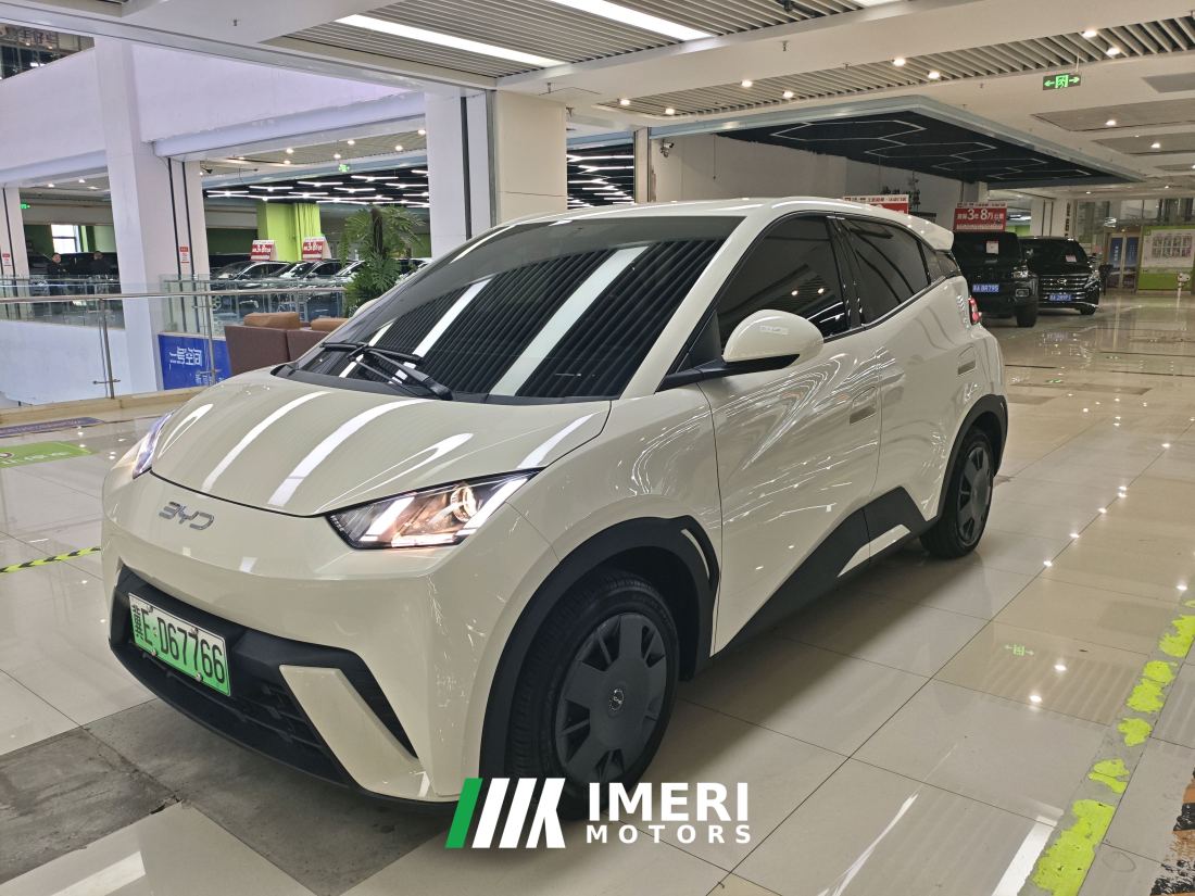 BYD Seagull Honor Edition 305km Vitality Edition - ავტომობილი ჩინეთიდან