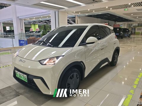2024 BYD Seagull Honor Edition 305km Vitality Edition - ავტომობილი ჩინეთიდან