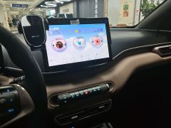 BYD Seagull Honor Edition 305km Vitality Edition - ფოტო 11