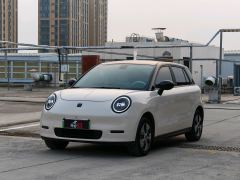 JAC 3 Edition 330km Air＋ - ფოტო 1
