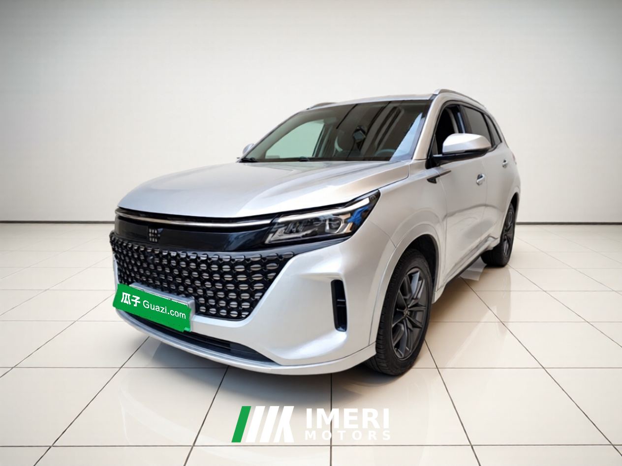 Blue Electric Landian E5 1.5L 87km Version 5
