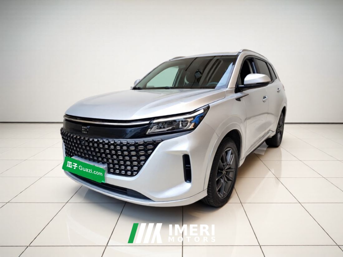Blue Electric Landian E5 1.5L 87km Version 5 - автомобиль из Китая