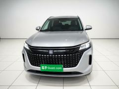 Blue Electric Landian E5 1.5L 87km Version 5 - фото 2