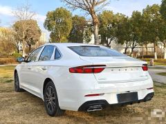 Geely Xingui 2.0T Edition - ფოტო 9